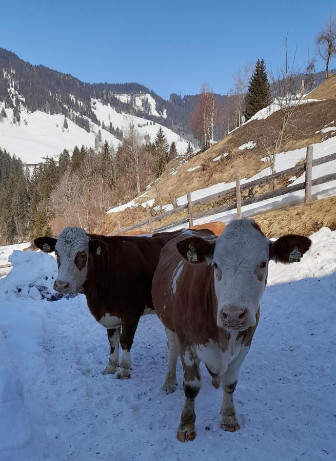 Almhof Grub Villa Wagrain Buitenkant foto