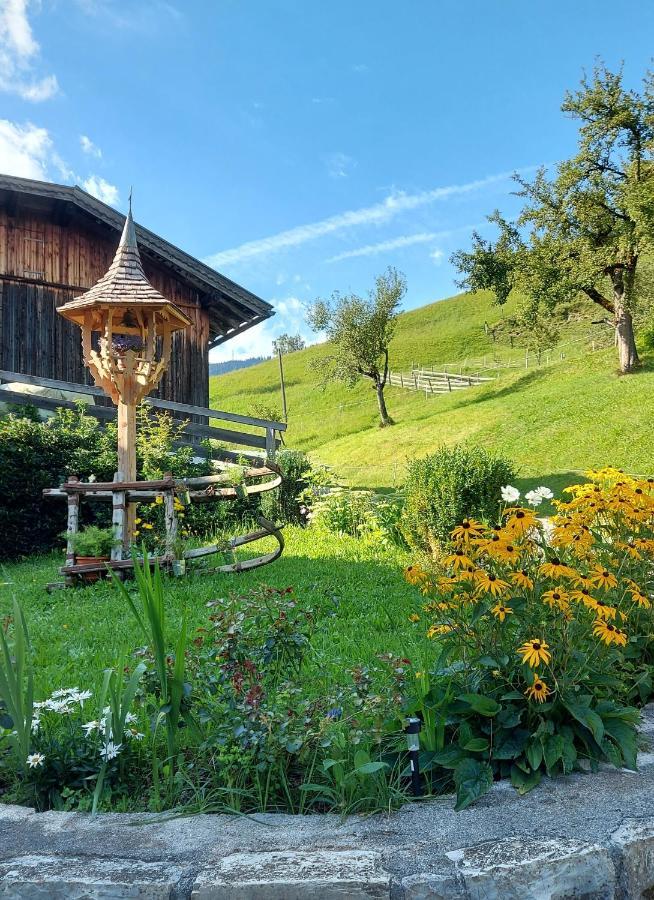 Almhof Grub Villa Wagrain Buitenkant foto